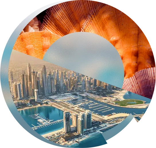 Transport options to Dubai Harbour for the boat show