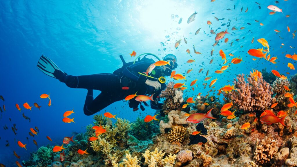 Reef Revival: How Marine Scientist Dr. Camilla Floros is Restoring Oceans with Super Corals and Community Action