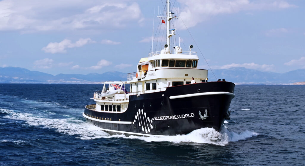 BlueCruise: A Floating Experiment in Living Longer and Better